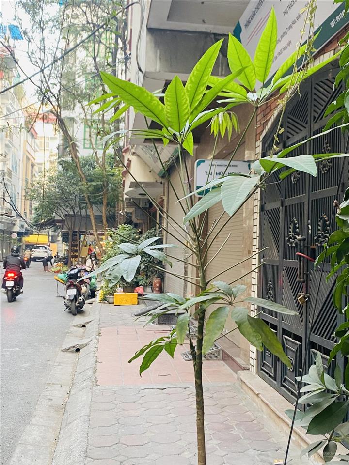 Bán nhà riêng tại khu đô thị trung hoà nhân chính
