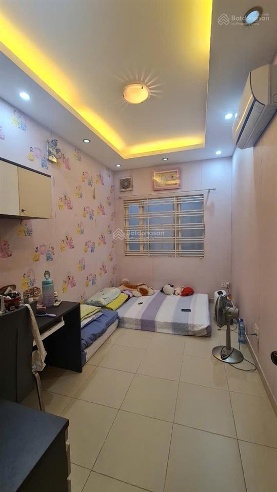Bán nhà mặt tiền khu biệt thự bông sao phường 5 quận 8. nhà diện tích lớn trực diện công viên