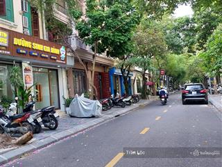 Chính chủ bán nhà liền kề nguyễn thị thập, nguyễn thị định, trung hòa, cầu giấy