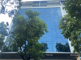 Chính chủ bán tòa nhà 12 tầng mặt phố đê la thành, ô chợ dừa, xã đàn, đống đa. dòng tiền 6 tỷ 1 năm