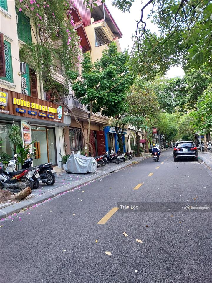 Chính chủ bán nhà riêng, nhà phân lô nguyễn thị định, trung hòa, cầu giấy. giá nhỉnh 40 tỷ