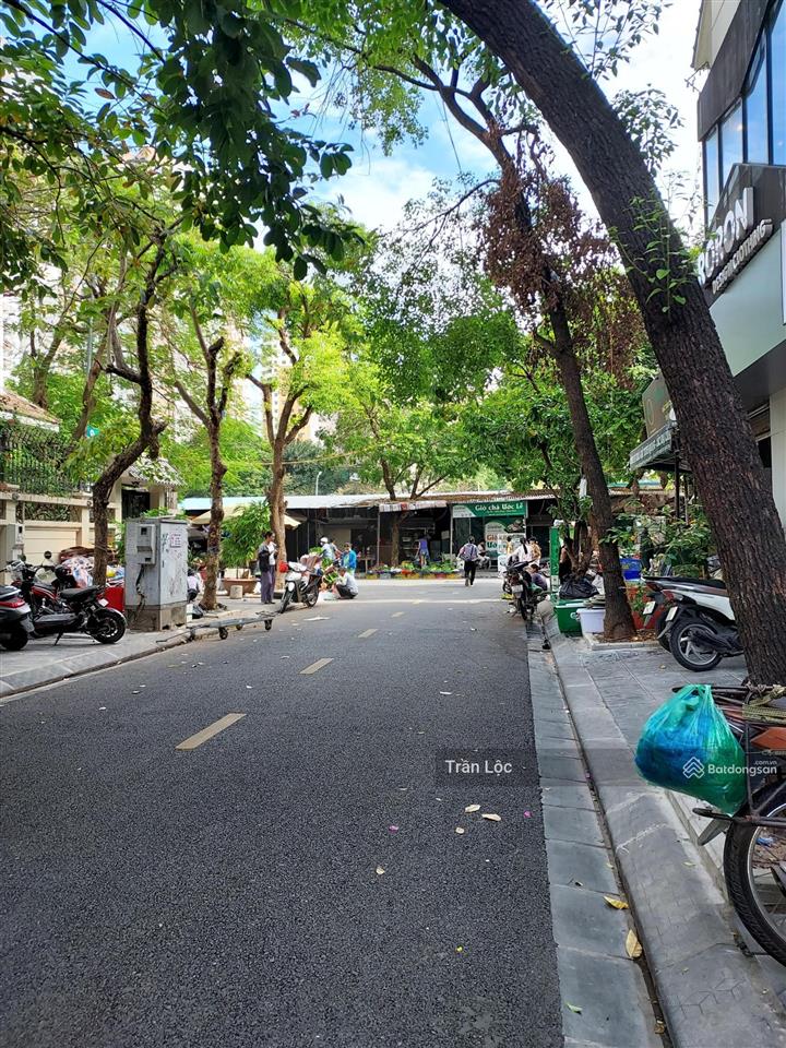 Chính chủ bán nhà riêng, nhà phân lô nguyễn thị định, trung hòa, cầu giấy. giá nhỉnh 40 tỷ