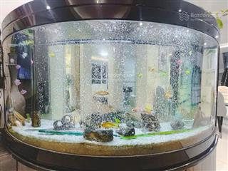 Bán căn hộ 3pn, 2wc tại xi grand court, quận 10, giá siêu hời 8,2 tỷ, 90m2  0907 749 ***