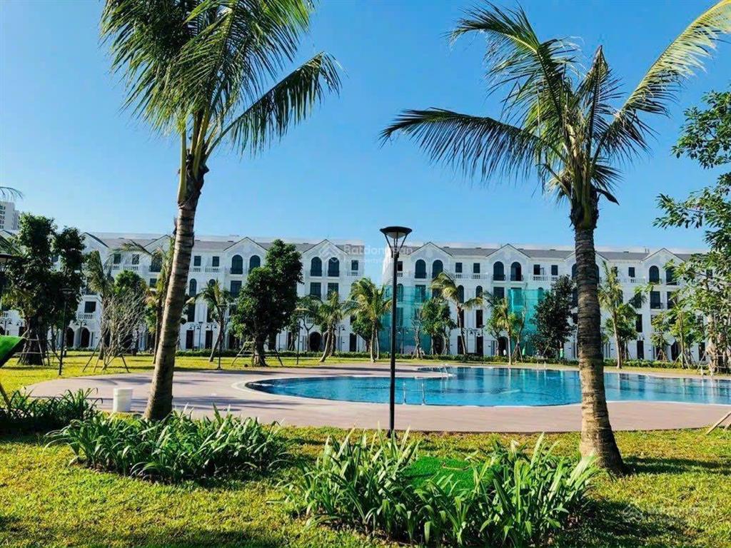Chính chủ cần bán căn ngọc trai 6 vinhomes ocean park gia lâm, giá 21 tỷ