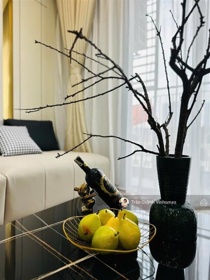 Bán căn hộ 1pn+ căn to 52m² full đồ nội thất cao cấp tòa mới nhất, view tây nam gần bến bus