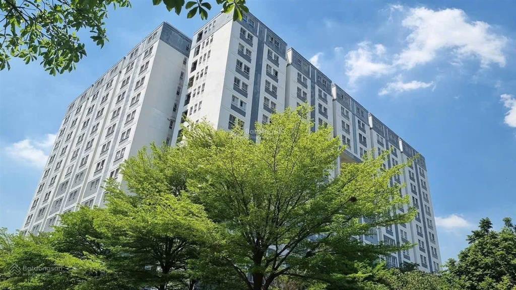 Cho thuê căn hộ 64m2 2pn 2wc full nội thất chung cư gò vấp