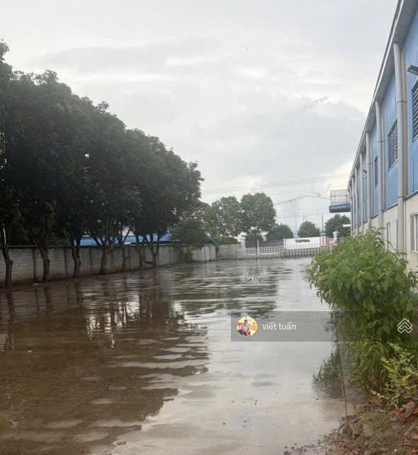 Cho thuê xưởng khu công nghiệp nam tân uyên