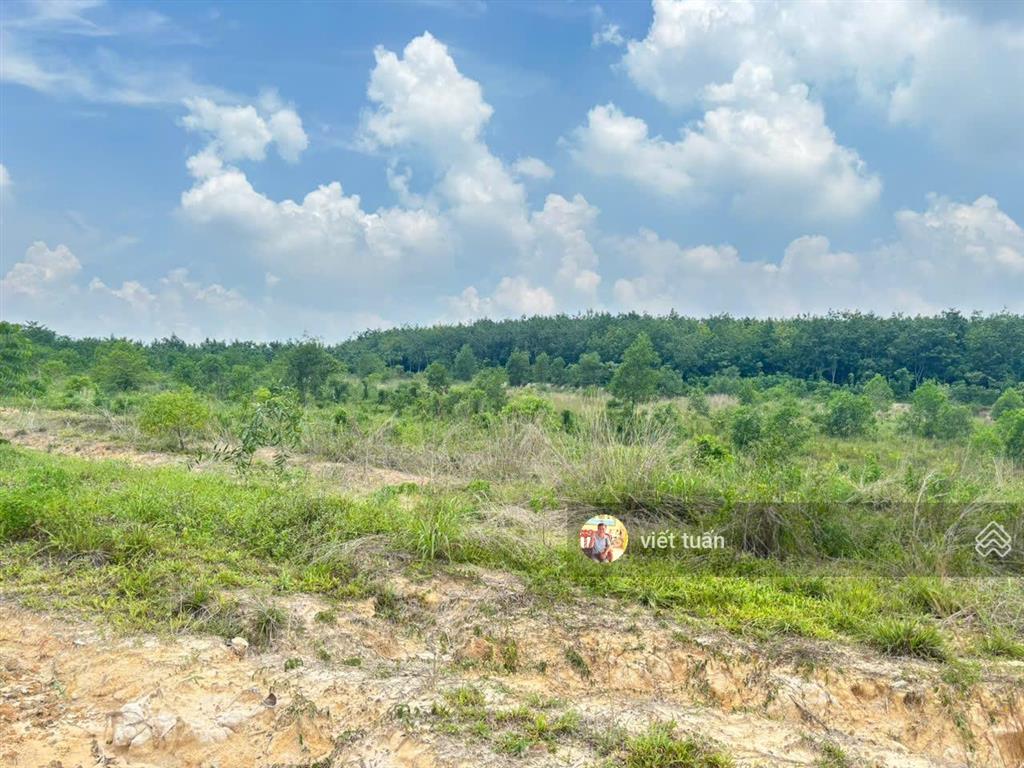 Bán đất tại tân định  tân uyên, 21 tỷ, 24000m2, giá cực chất