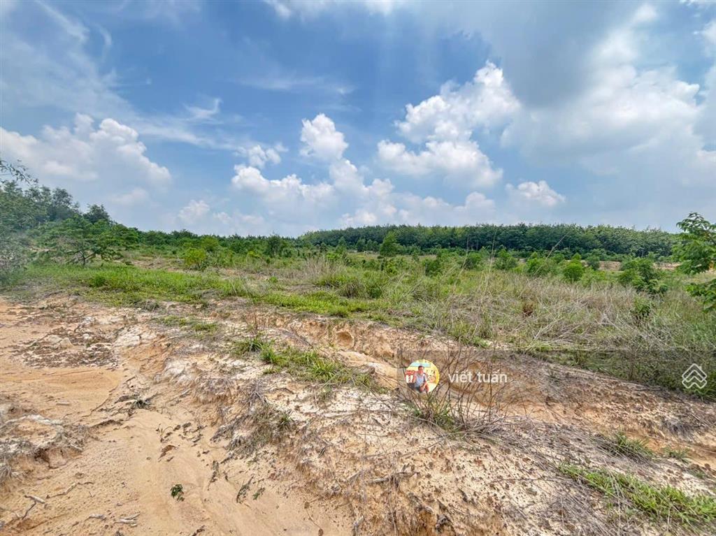 Bán đất tại tân định  tân uyên, 21 tỷ, 24000m2, giá cực chất