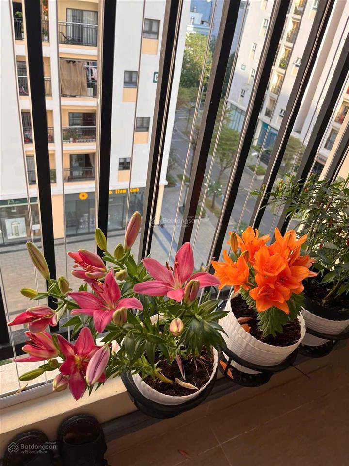 Bán gấp căn hộ 1pn 1wc tại cityland park hills, 4,2 tỷ, 50m2