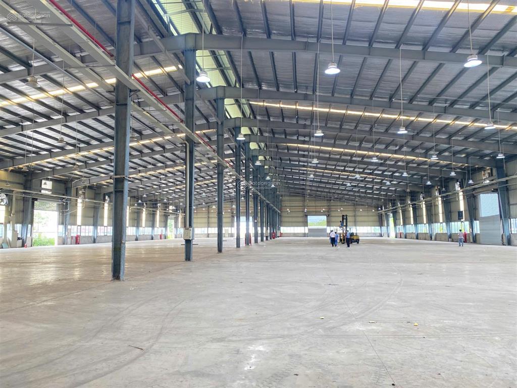 Kho xưởng hiện đại kcn quang minh diện tích linh hoạt, vị trí vàng logistics