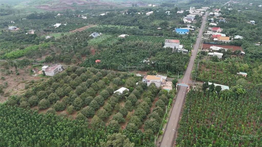 Bán mảnh đất vườn sầu riêng nằm trên tuyến đường chính liên xã kim long, quảng thành