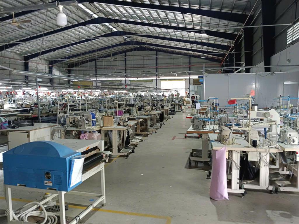 Cho thuê nhà xưởng 5000m2 tại vĩnh long
