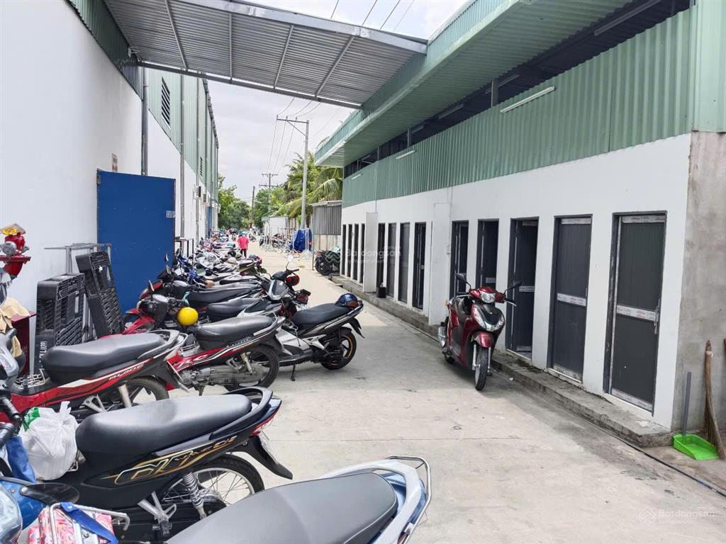 Cho thuê nhà xưởng 5000m2 tại vĩnh long