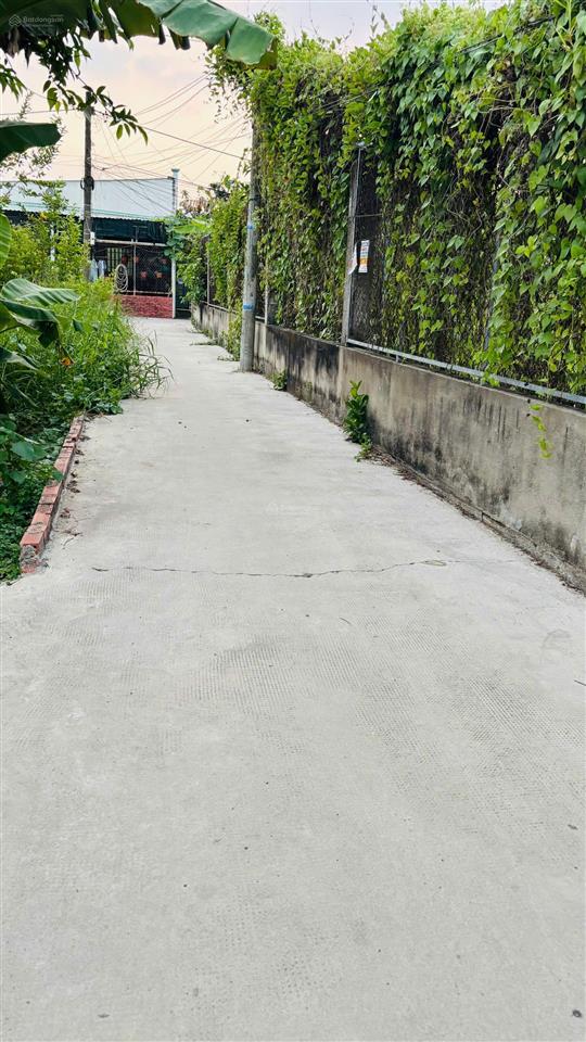 Bán đất thổ cư ngang 9,5x19m ngay khu vin hưng long bình chánh chỉ 4,6 tỷ tl