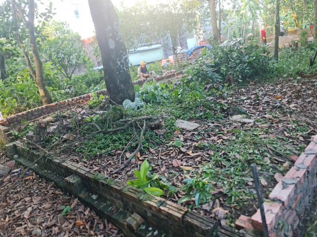 Chính chủ bán 102m2 đất full thổ cư, mt 6m, giá 2.55 tỷ, ô tô vào đất tại đông lai, xã nội bài, hn