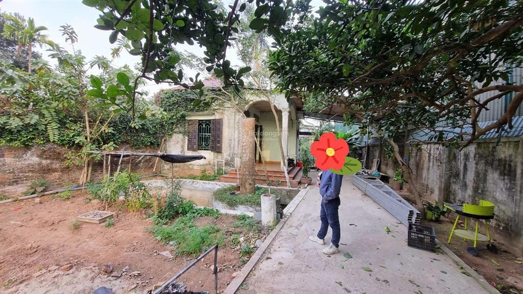 Bán nhà vườn ở vân côn, hoài đức