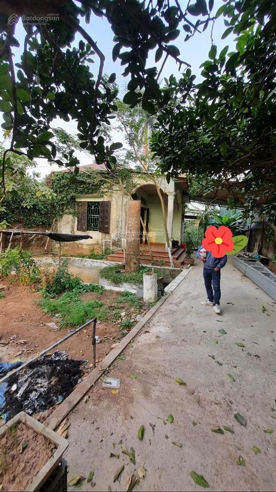 Bán nhà vườn ở vân côn, hoài đức