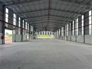 Kho vip 2.500m2 cần thơ  công 40ft chạy 24/7  sẵn pccc & điện 3 pha