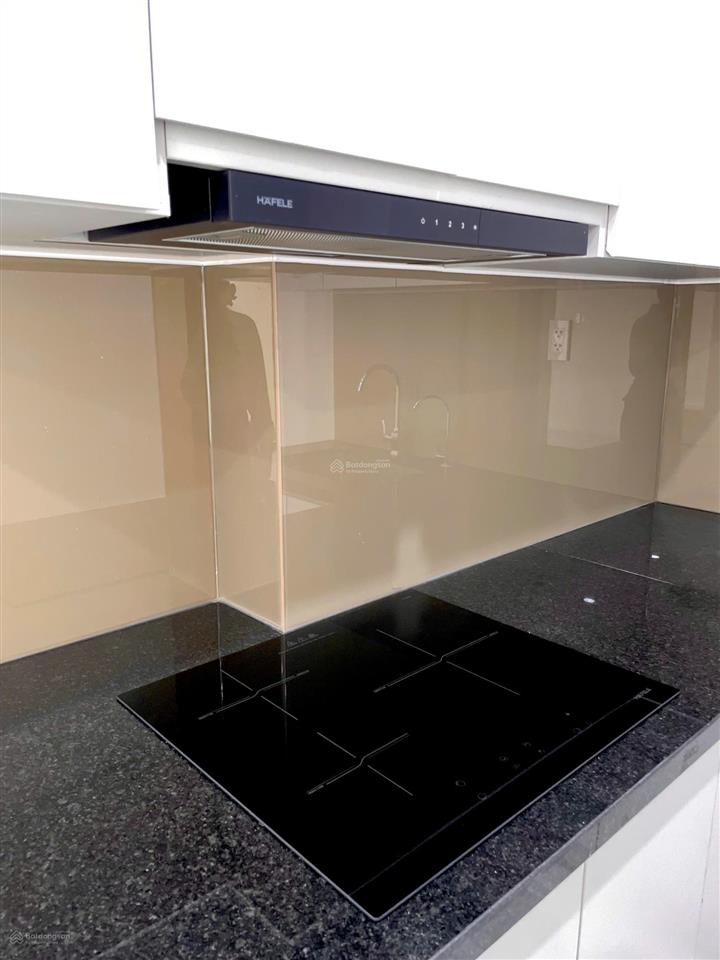 Cho thuê chung cư 2pn2wc 55m2 [new100%] view đẹp ngay đường thống nhất