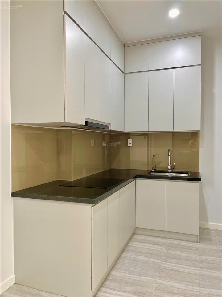 Cho thuê chung cư 2pn2wc 55m2 [new100%] view đẹp ngay đường thống nhất