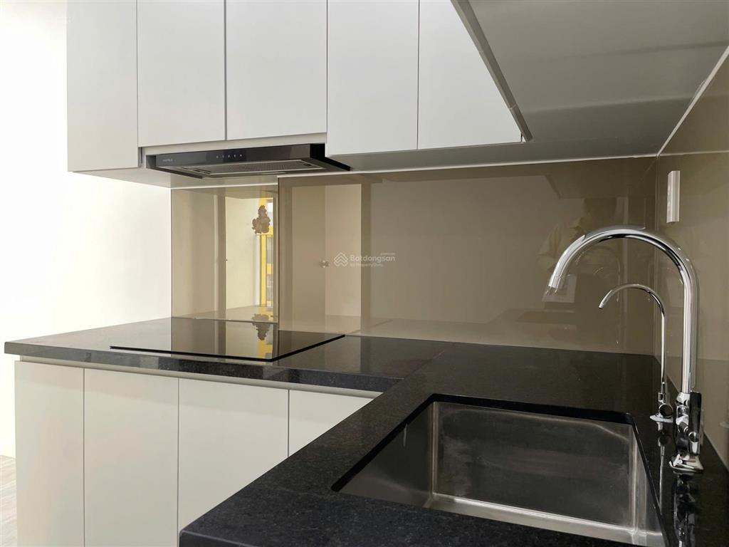 Cho thuê chung cư 2pn2wc 55m2 [new100%] view đẹp ngay đường thống nhất