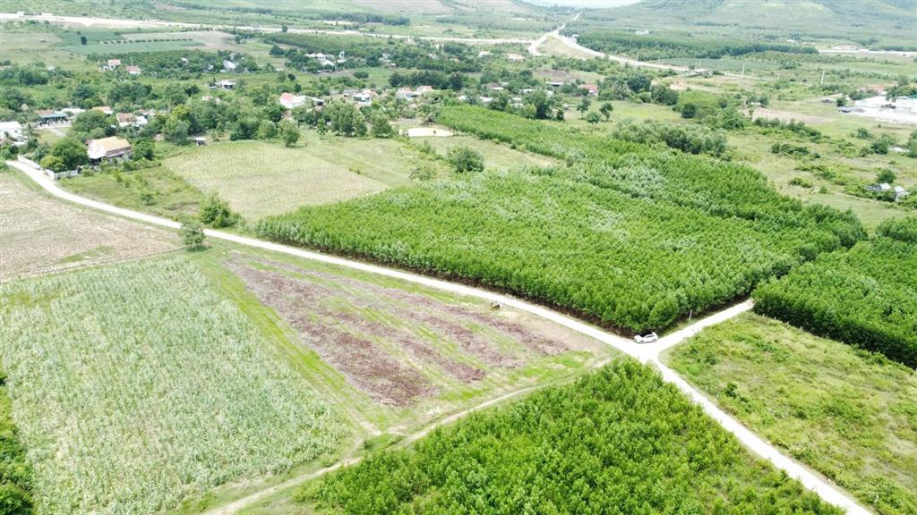 Mở bán lô đất full thổ cư ninh tân (cũ), cách tỉnh lộ 5 chỉ 200m, vị trí tiềm năng cực đẹp!