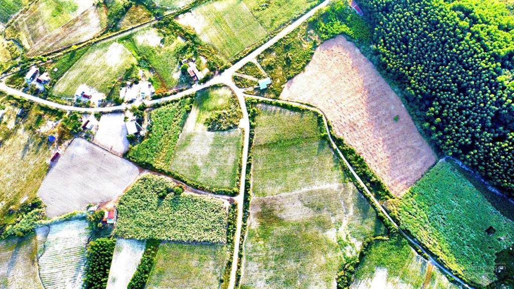 Mở bán nhanh lô tây ninh hoà để dành chỉ 279tr