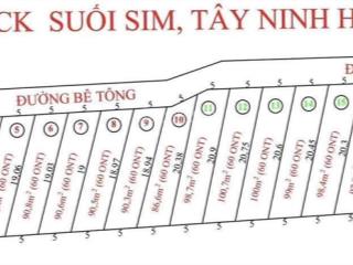 Giá rẻ lắm rồi ninh tây, ninh hòa chỉ 119 triệu!