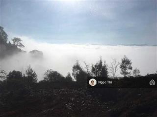 Bán lô đất giá siêu mềm, view đẹp, sẵn điện nước bao làm farm, đất đẹp, giá tốt