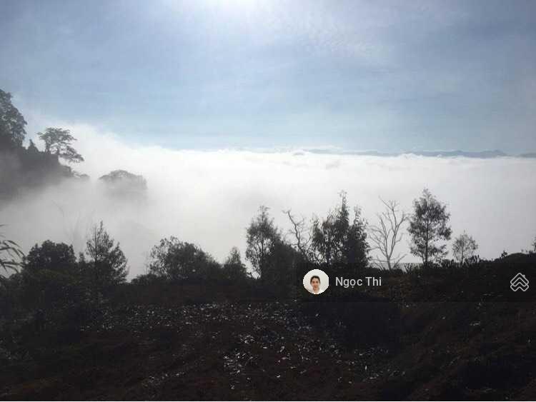 Chủ gửi bán lô đất ngay lộc thành, view cực mê, giảm mạnh trong tháng, rẻ đẹp mê luôn
