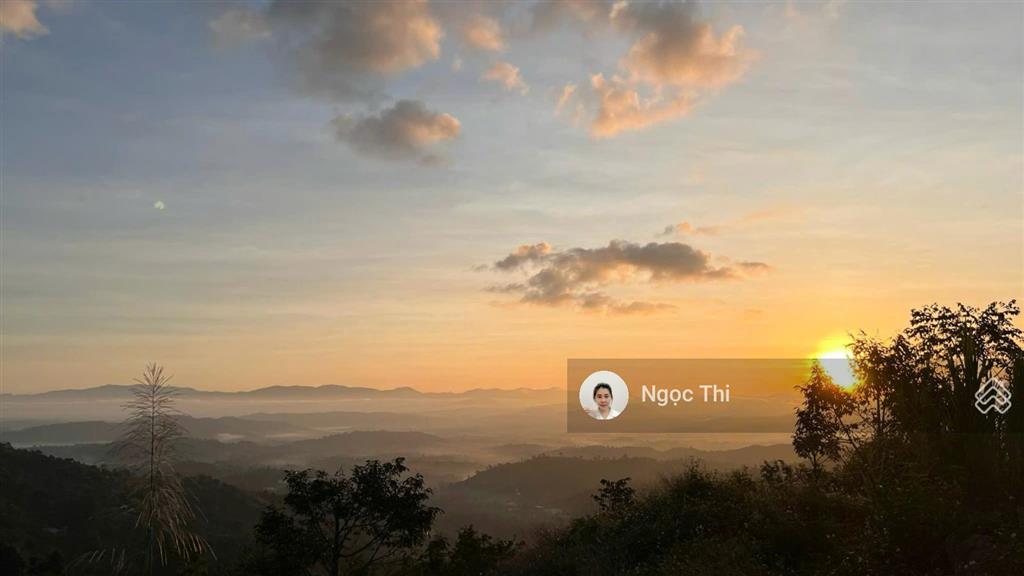 Bán lô đất vườn, đang trồng cà phê, giá cực rẻ, ngay khu dân cư, xây nhà được tại bảo lâm
