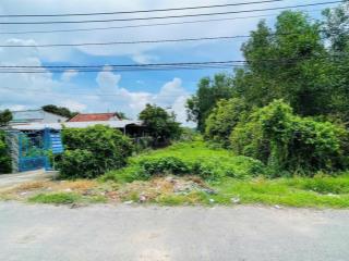 Bán đất trần tử bình, tân thông hội, củ chi, 192m2/ 1,25 tỷ sổ hồng riêng,  0867 817 ***