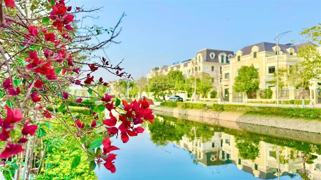 Chủ nhà cần bán gấp căn biệt thự đơn lập vip diện tích 280m2 giá cực rẻ 61tỷ! 1 căn duy nhất!