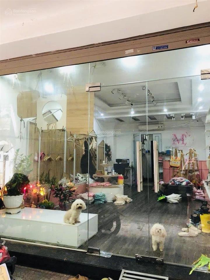 Bán nhà phố thái hà, thang máy nhập khẩu, phân lô, kinh doanh, full nội thất xịn sò. 59m*6t