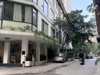 Nhà đẹp đào tấn, dân xây 5 tầng thang máy, 2 thoáng vĩnh viễn, ở hay kinh doanh đều phù hợp