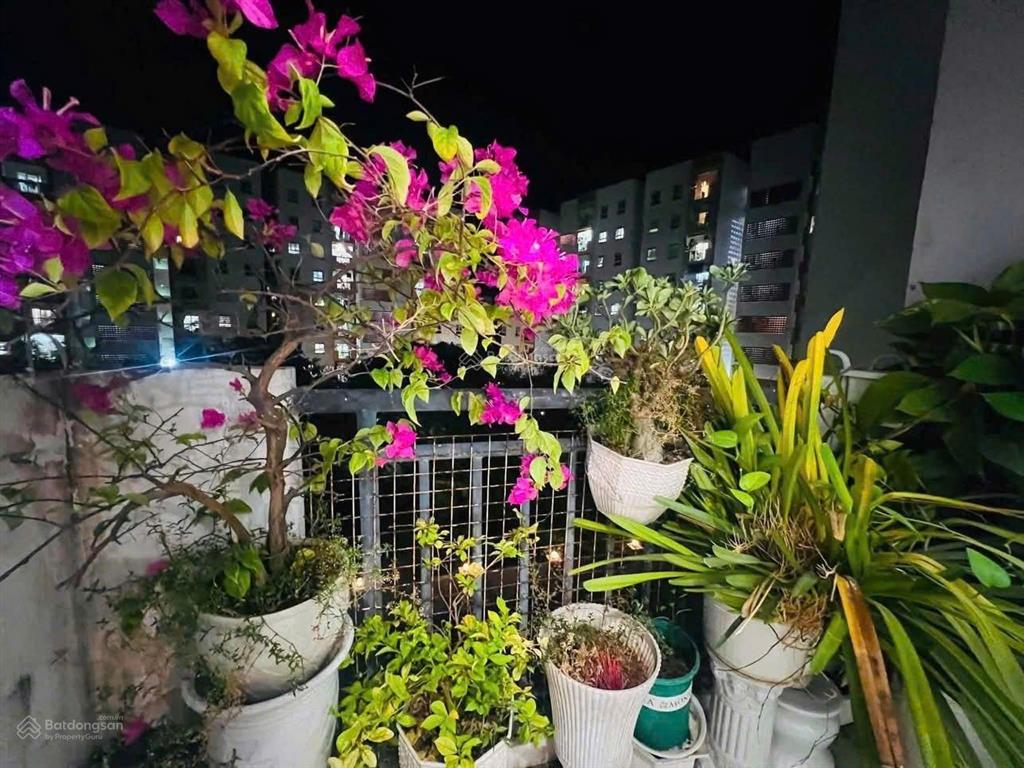 Bán căn chung cư nest home chu huy mân, sơn trà, đà nẵng