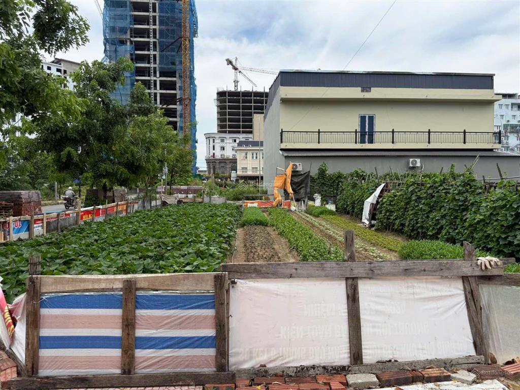 Bán dn đẹp tại trần phú, 15 tỷ, 150m2, view đẹp, giá ưu đãi