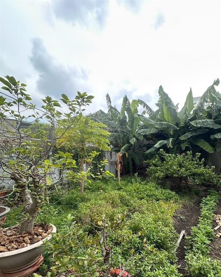 Bán đất lê quang hoà, 19.9 tỷ, 214m2( 7 x 30,5)  thới an 16, quận 12 thông thới an 18