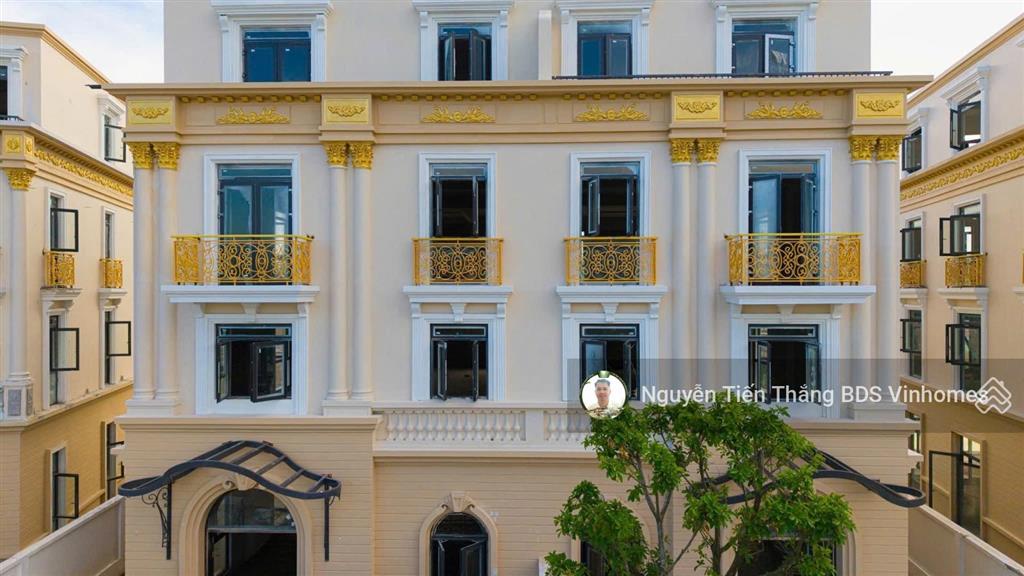 Bán biệt thự song lập phân khu hoàng gia diện tích đất 180m2, mt rộng 9m tại vinhomes royal island