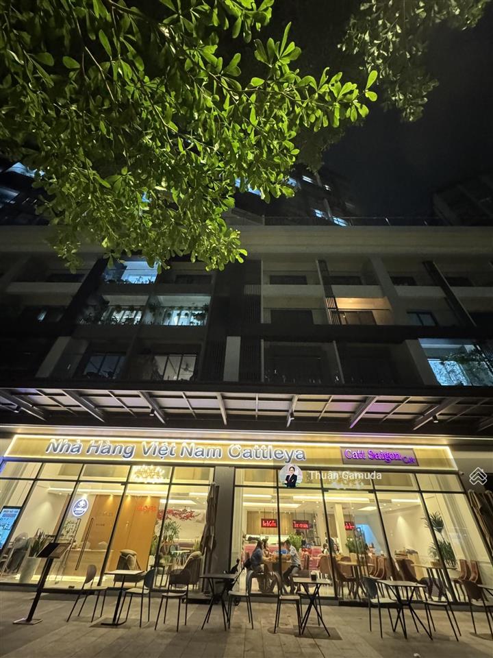 Bán shophouse celadon city  còn 1 căn  mua giá gốc cđt  dts 535m2 giá 45tỷ