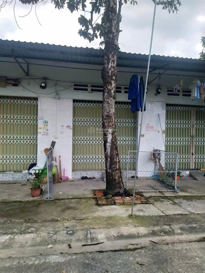 Chính chủ cần bán gấp dãy trọ thu nhập cao tại hòa phú  thủ dầu một  bình dương