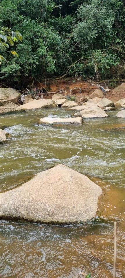 Trả giá là bán khu vườn tâm huyết tại làng hoa vạn thành đà lạt giá cực tốt
