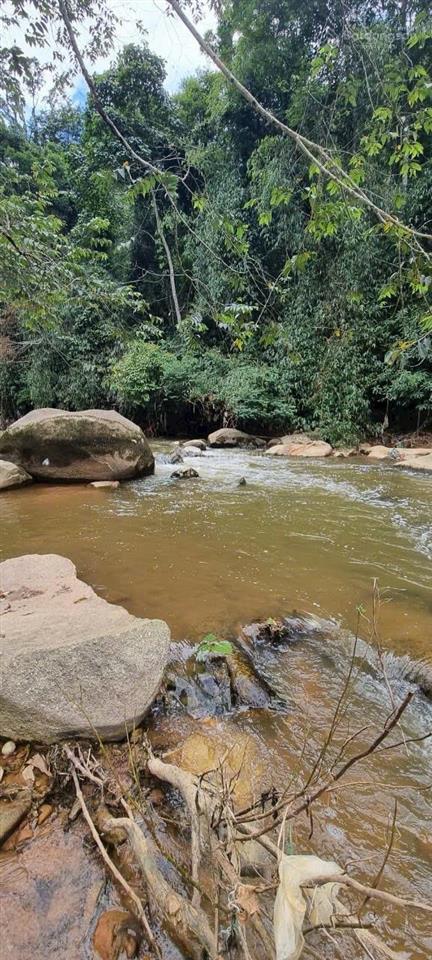 Trả giá là bán khu vườn tâm huyết tại làng hoa vạn thành đà lạt giá cực tốt