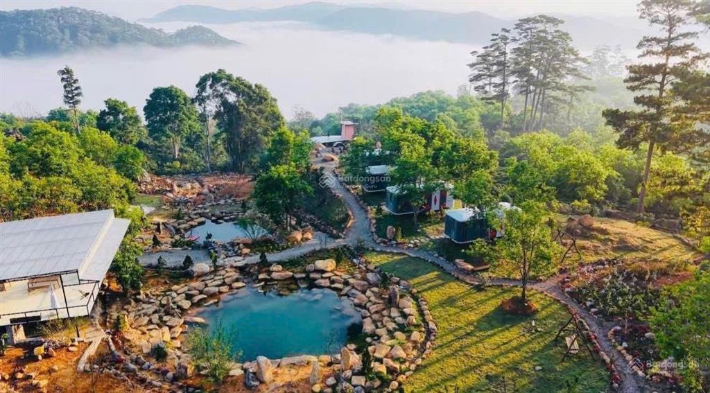 Bán gấp tổ hợp homestay săn mây nghỉ dưỡng tại xuân trường, đà lạt