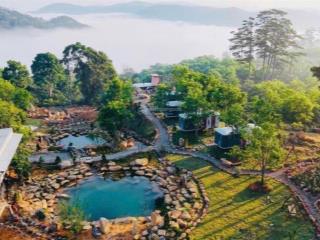 Bán gấp tổ hợp homestay săn mây nghỉ dưỡng tại xuân trường, đà lạt