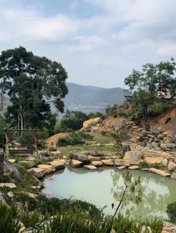 Bán gấp tổ hợp homestay săn mây nghỉ dưỡng tại xuân trường, đà lạt