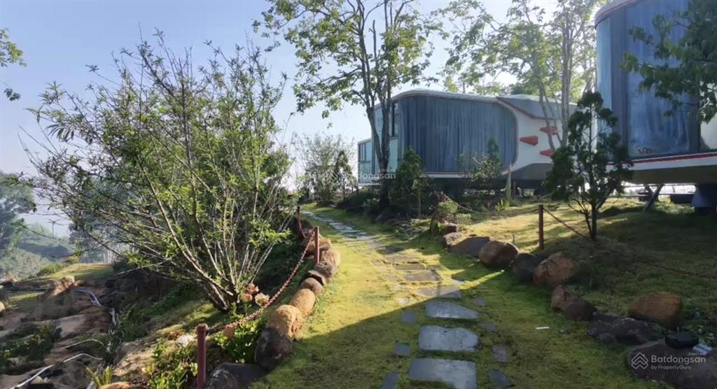 Bán gấp tổ hợp homestay săn mây nghỉ dưỡng tại xuân trường, đà lạt
