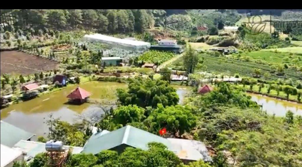 Bán gấp điền trang nghỉ dưỡng giá tốt tại tà nung, đà lạt