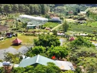 Bán gấp điền trang nghỉ dưỡng giá tốt tại tà nung, đà lạt